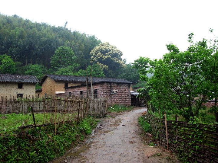 ����԰��