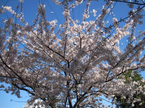 ������С IMG_3539.jpg