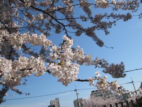 ������С IMG_3544.jpg