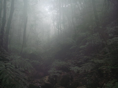 ˮ�ɿ�ѽ��������ɯ��Ц��Ҳ������������أ�