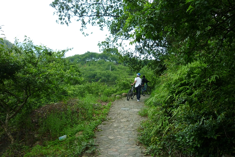 ���̵ĺ�����