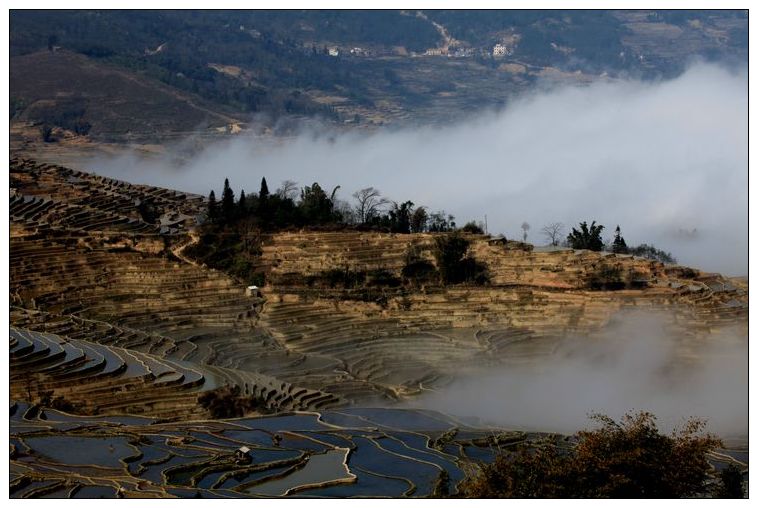 2010����֮�� 240.jpg