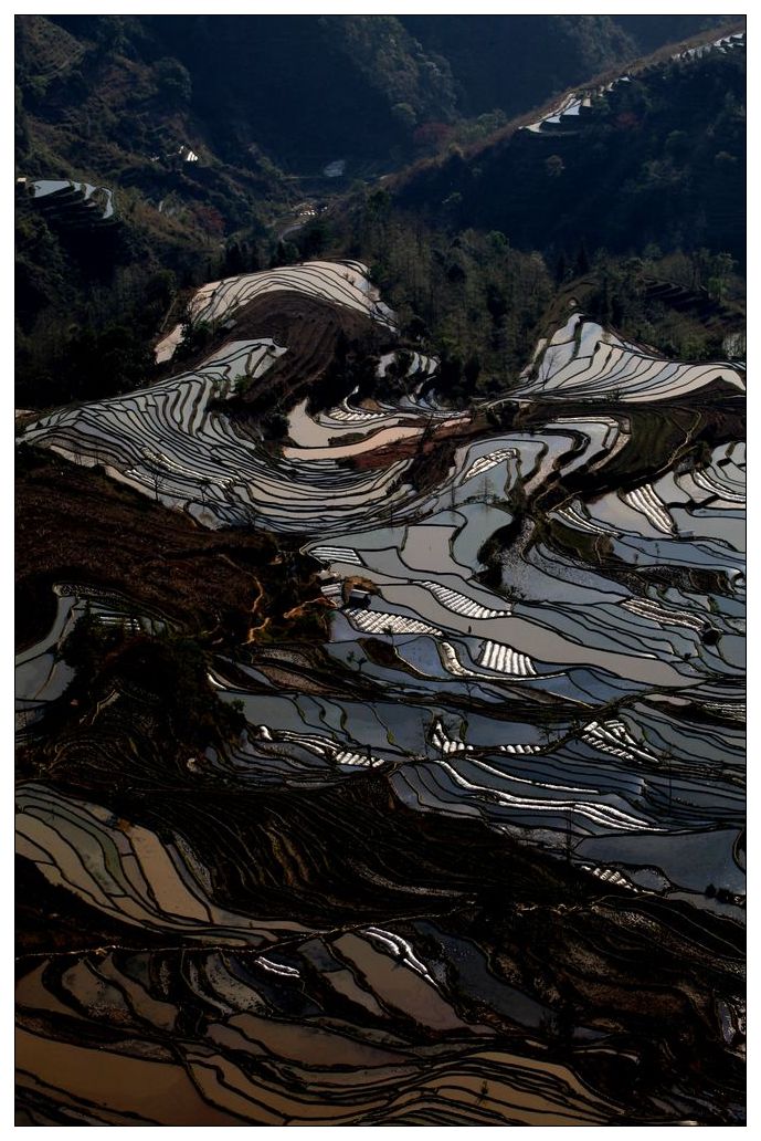 2010����֮�� 326.jpg