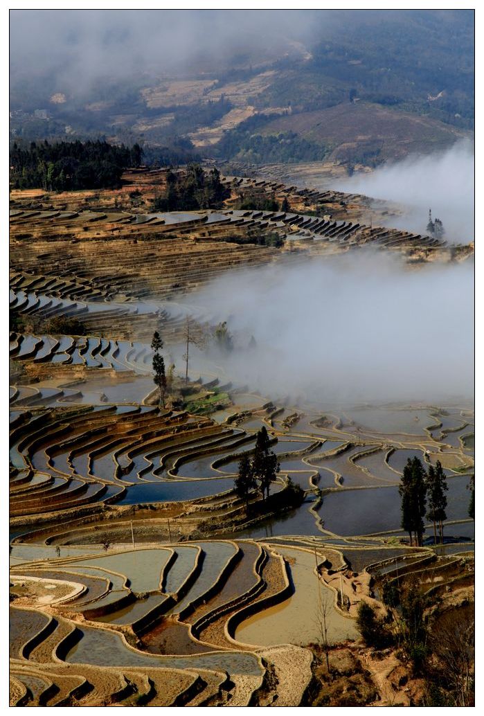 2010����֮�� 237.jpg