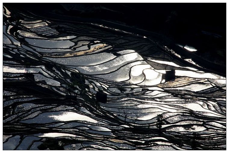 2010����֮�� 327.jpg