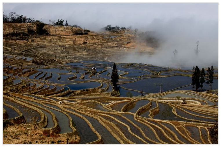 2010����֮�� 247.jpg