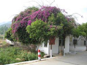 ����2 016.jpg