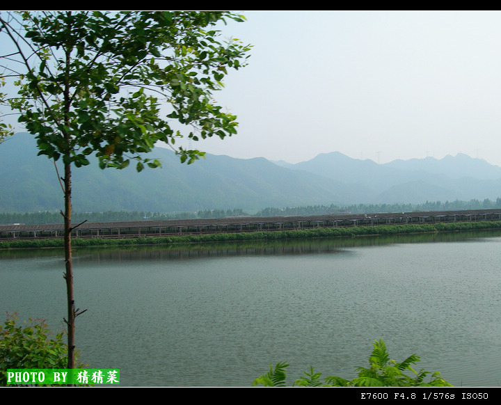 Ѽ��������ѭ����ɫ���á���Ȼ�ǳ���һ�㡣����������