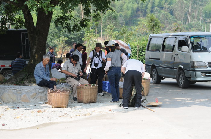 ��ũ����Ǯ