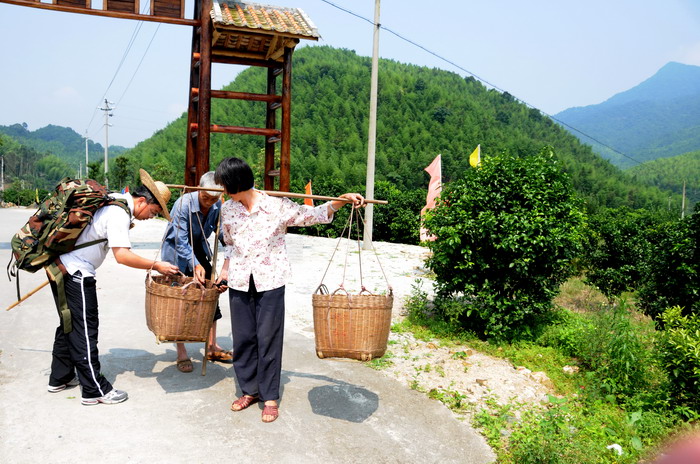 ���������Ʒ��