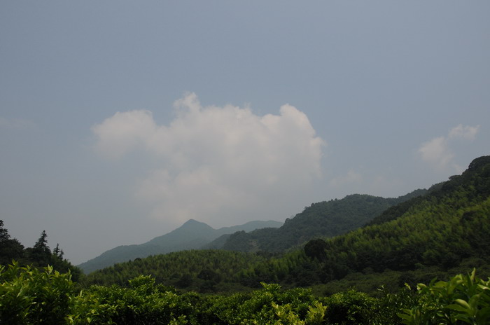 ��԰�ϵ�����