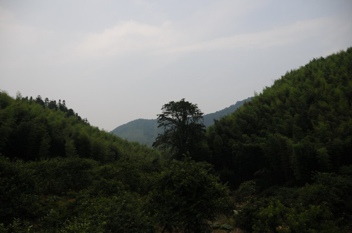 ֻ���̲���·