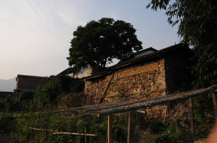 Ϧ���µ�Ϫͷ��