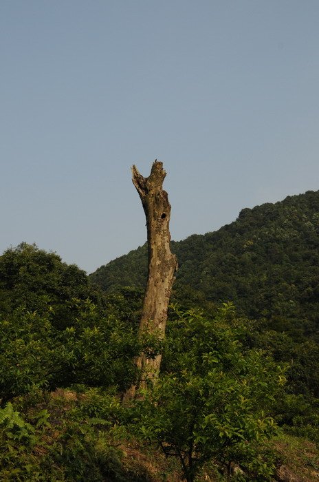 ��������˵