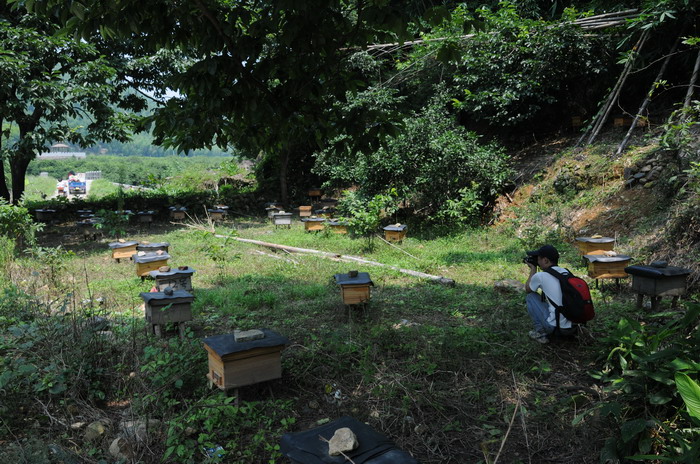 ��ͳ������ҵ