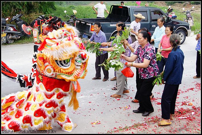 �ɽ�Ϸʨ�����Լ�������