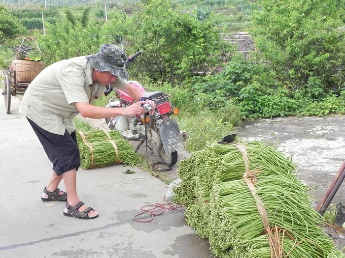 ��������