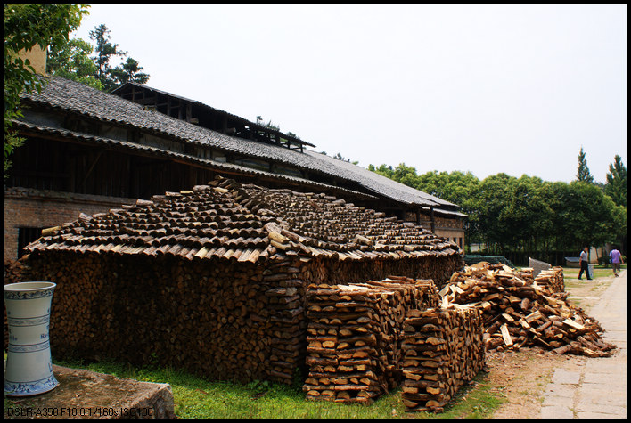 ������Ҥ����ľ