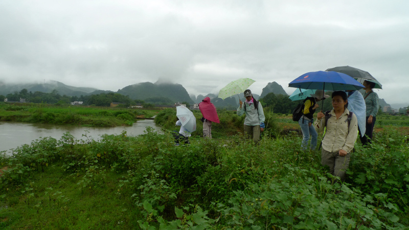 nEO_IMG_P1120466 1.jpg