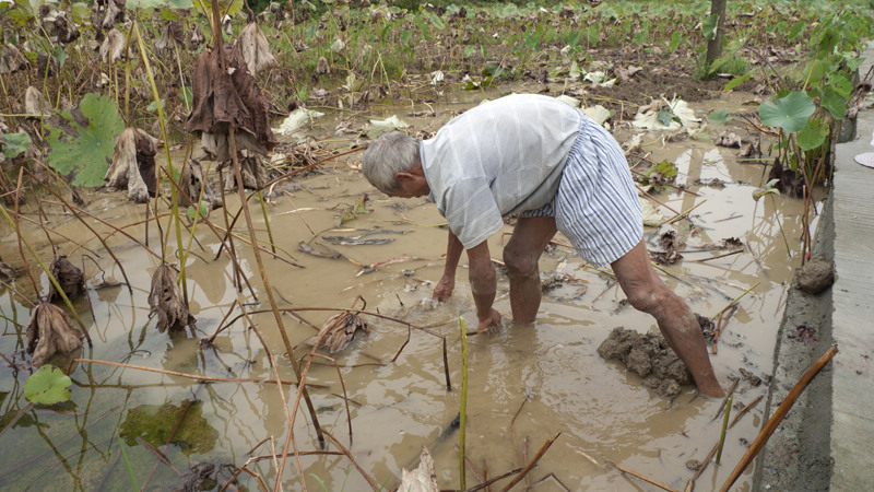 nEO_IMG_P1120589 1.jpg