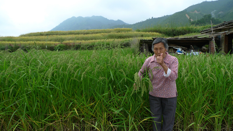 nEO_IMG_P1130342 .jpg