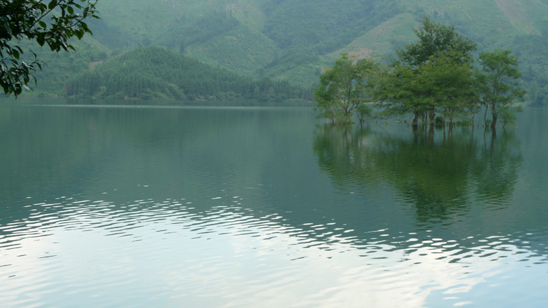 nEO_IMG_P1130386 .jpg