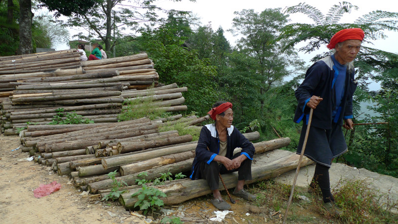 nEO_IMG_P1130598 .jpg