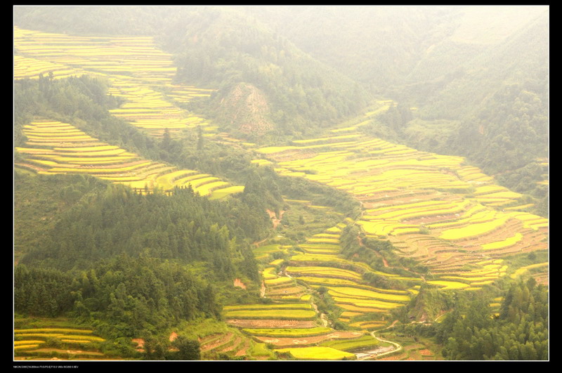 ��ɽ������ 010_neo_bak(2)_������С.jpg