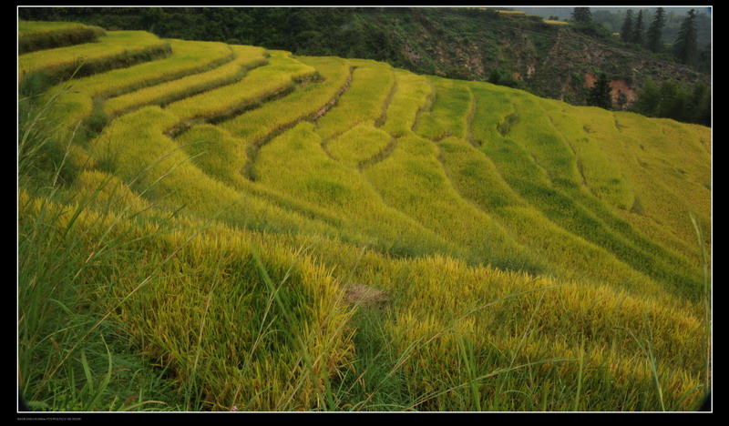 ��ɽ������ 211_������С.jpg