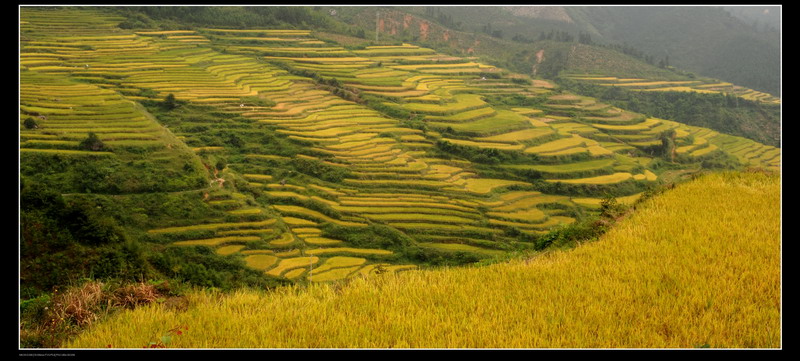 ��ɽ������ 142_������С.jpg