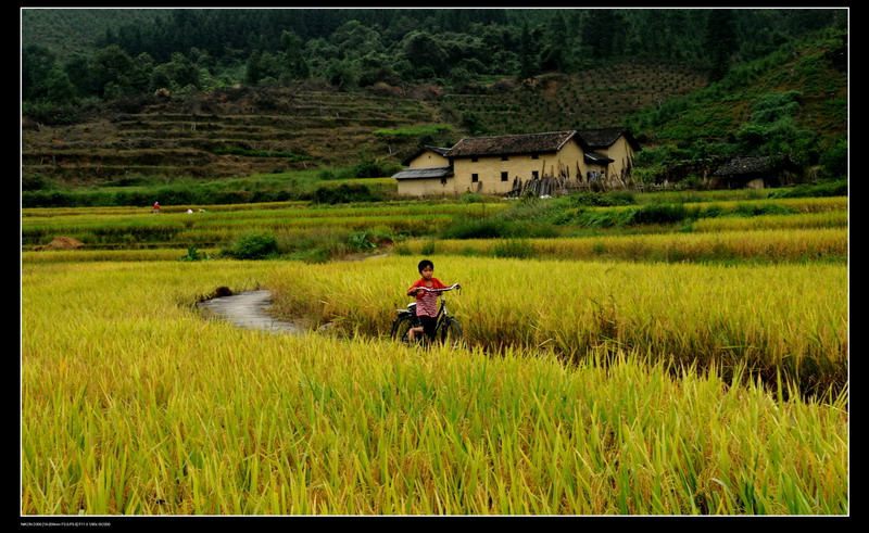 ��ɽ������ 400_������С.jpg