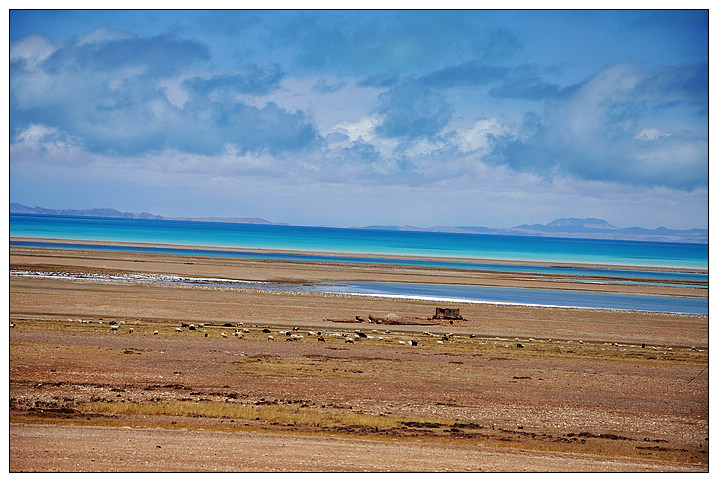 ��Ƭ201005031 528_nEO_IMG.jpg