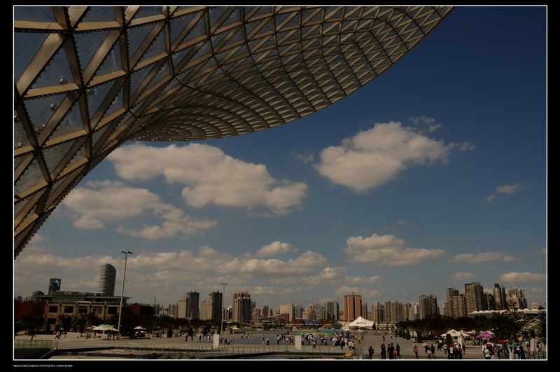 �Ϻ�������