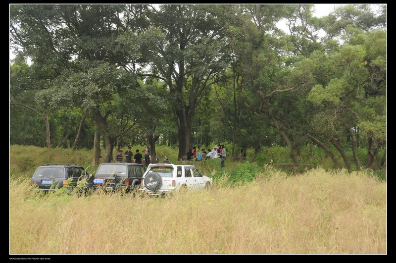 ���޵��տ� 499_������С.jpg