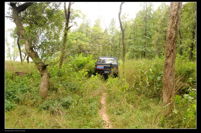 ���޵��տ� 498_������С.jpg