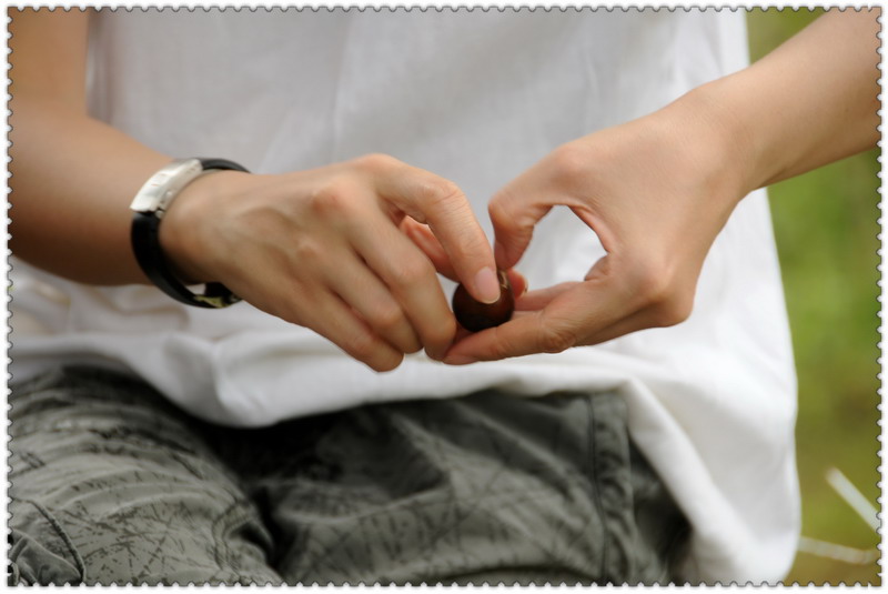 ���޵��տ� 511_������С.jpg