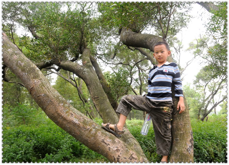 ���޵��տ� 582_������С.jpg