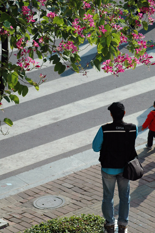 nEO_IMG_DSC_4914 1.jpg