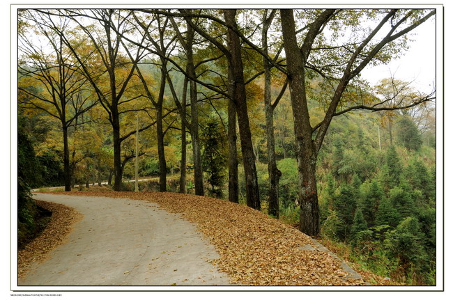 101117��ɽ���� 110_������С.jpg