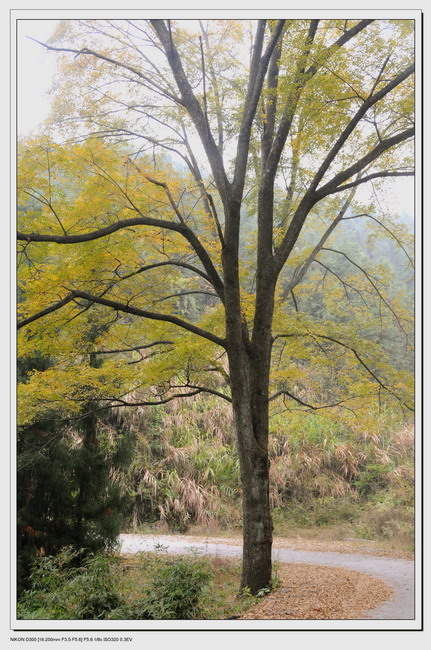 101117��ɽ���� 036_������С.jpg