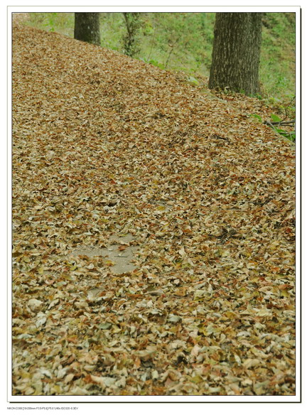 101117��ɽ���� 107_������С.jpg