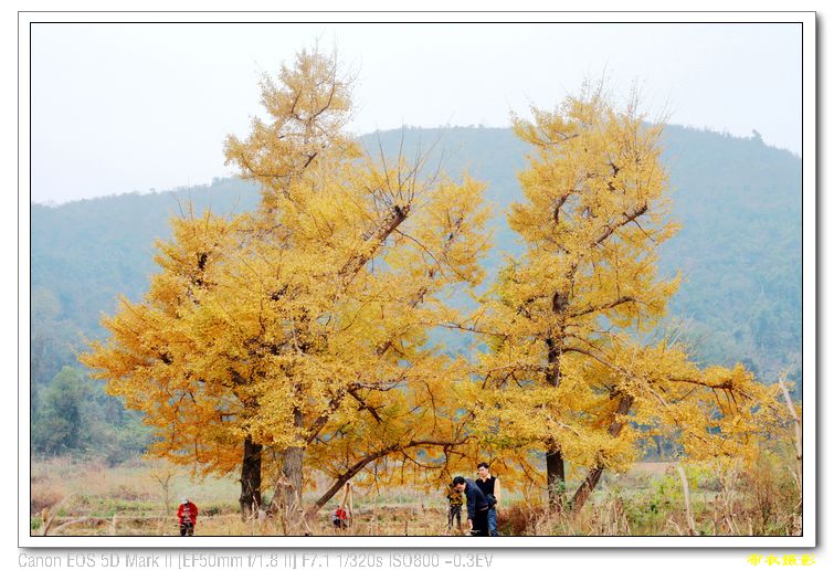 nEO_IMG_��Ƭ 491.jpg