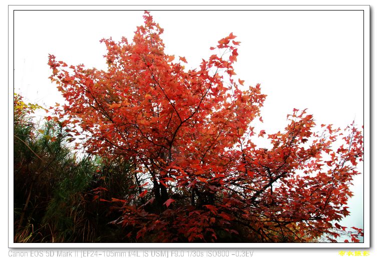 nEO_IMG_��Ƭ 546.jpg