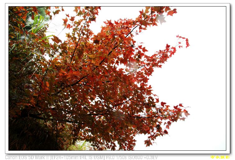 nEO_IMG_��Ƭ 559.jpg