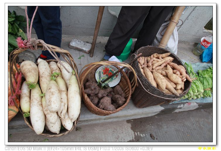 nEO_IMG_��Ƭ 338.jpg