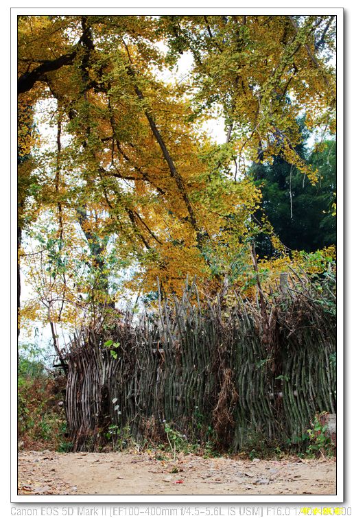 nEO_IMG_��Ƭ 424.jpg