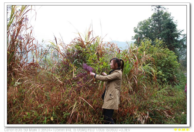 nEO_IMG_��Ƭ 554.jpg