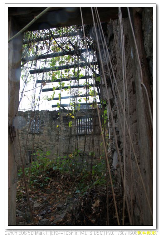 nEO_IMG_��Ƭ 635.jpg