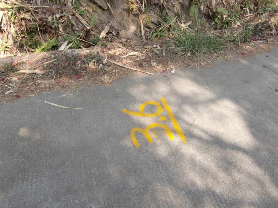 ����߶������������Կ���