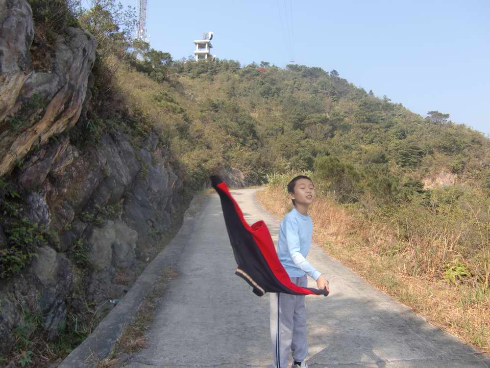 ��Ҫ���裡